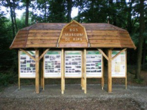Bosmuseum De Rips, over de geschiedenis van dorp en bos